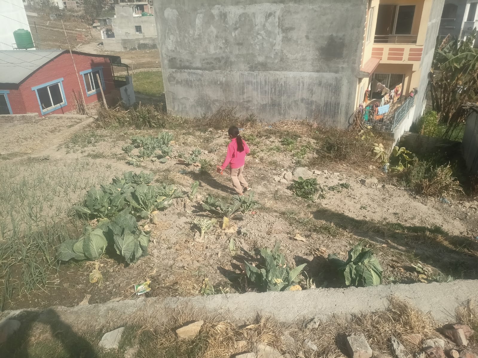 Picture of Mahalaxmi Municipality, Bagmati